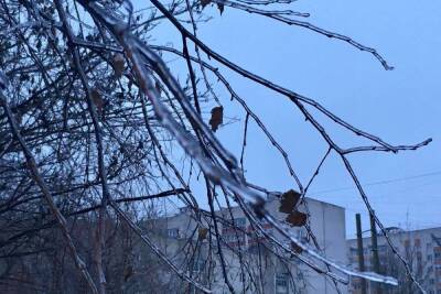 7 февраля в Смоленске не исключены снег, дождь и пасмурная оттепель