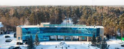 Мэрия Новосибирска остановила выбор талисмана «Новогодней столицы России»