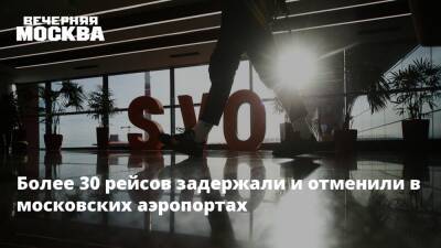 Дмитрий Горин - Более 30 рейсов задержали и отменили в московских аэропортах - vm.ru - Москва - Россия - Таиланд - Москва