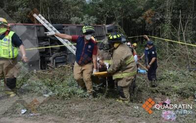В ДТП с автобусом в Мексике погибли восемь человек