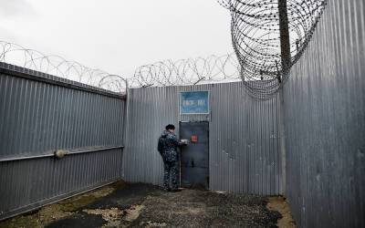 В Ульяновской области 38 заключенных колонии строгого режима объявили голодовку - newsland.com - Ульяновская