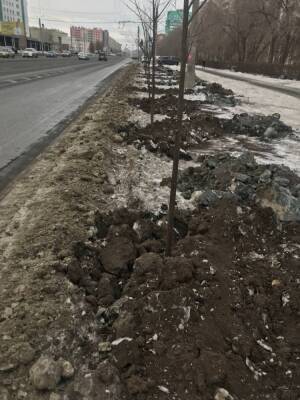 Власти Челябинска обещают высадить новые деревья на Комсомольском проспекте
