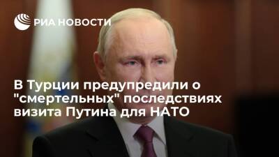 Турецкий политик Перинчек: визиты Путина в КНР и Турцию могут стать "могилой" для НАТО