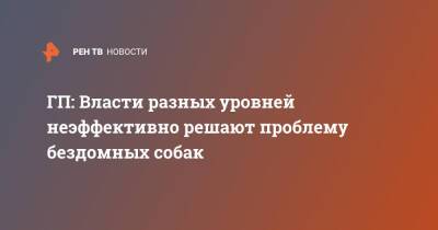 ГП: Власти разных уровней неэффективно решают проблему бездомных собак