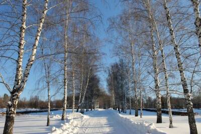 В первый понедельник февраля жителей Башкирии ждет похолодание