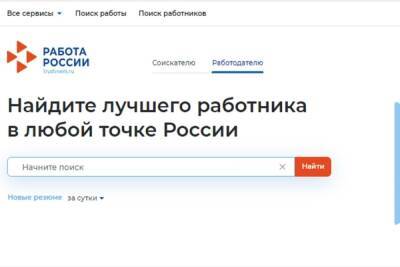 Костромская отчетность: предпринимателям пора заполнять формуляры об удаленке