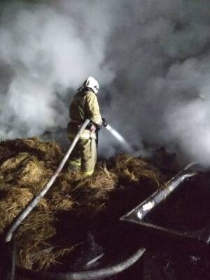 В Астраханской области загорелись хозпостройка и рулоны сена