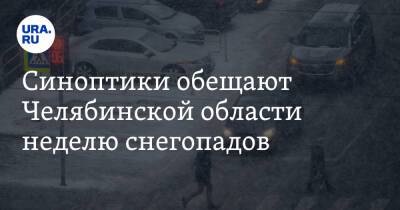 Синоптики обещают Челябинской области неделю снегопадов. Скрин