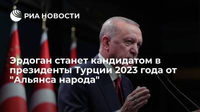 Эрдоган будет кандидатом от "Альянса народа" на президентских выборах в Турции 2023 года