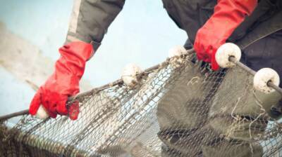 Траулер под флагом Литвы сбросил сотню тысяч мертвых рыб у берегов Франции