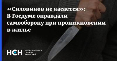 «Силовиков не касается»: В Госдуме оправдали самооборону при проникновении в жилье