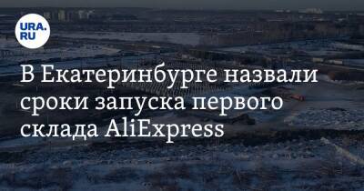 В Екатеринбурге назвали сроки запуска первого склада AliExpress. Фото