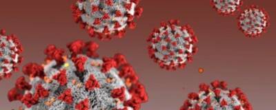 Эксперт Пшеничная: Мутации коронавируса могут привести к появлению новых штаммов