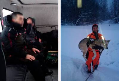 За неделю ленинградские спасатели привлекались к поисково-спасательным работам 19 раз