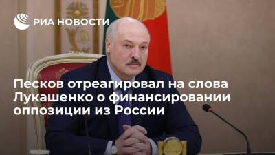 Песков о документе по финансированию оппозиции Белоруссии: если поступит, передадут Путину