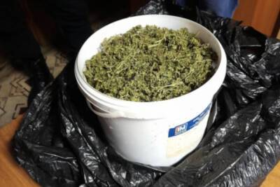 У жителя Тверской области изъяли пластиковое ведро с марихуаной