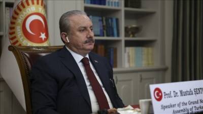Турция назвала популизм угрозой для мультикультурализма