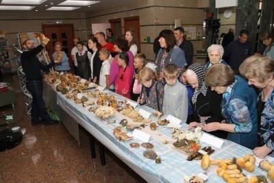 Власти ХМАО потратят ₽2 млн на «Музей грибов»