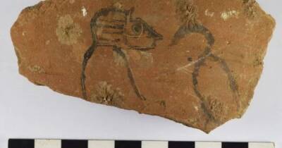 Записки из прошлого. Археологи нашли тысячи табличек, описывающих жизнь древних египтян (фото)
