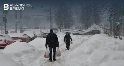 В Татарстане на этой неделе установится слабоморозная погода со снегом и метелями