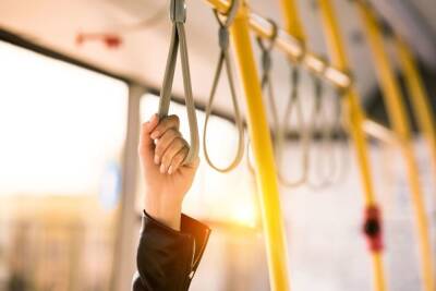 От «Проспекта Просвещения» до «МЕГИ Парнас» запустят новый автобус