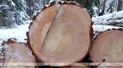 Минлесхоз предлагает упростить порядок реализации населению деловой древесины и дров