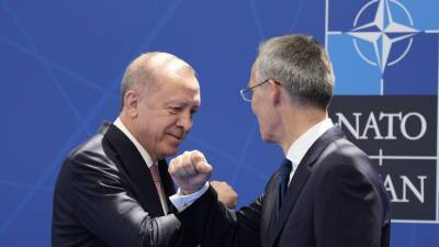Генсек НАТО Столтенберг и президент Турции Эрдоган обсудили ситуацию на Украине