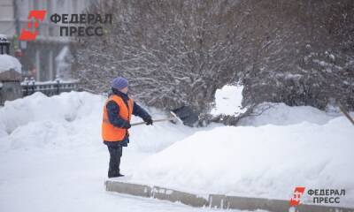 Перед оттепелью Петербург успел побить рекорд этой зимы по высоте сугробов
