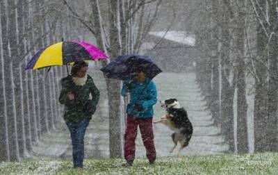 Погода на неделю: дожди со снегом и +11°C - korrespondent.net - Украина