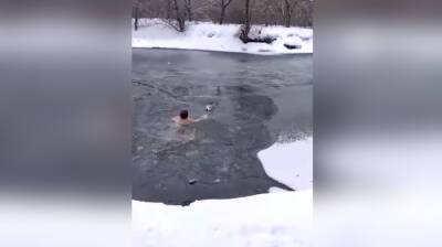 В Воронежской области женщина бросилась в реку ради спасения хаски из ледяного плена
