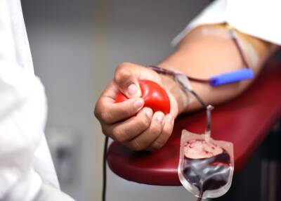 Больницы Петербурга и Ленобласти нуждаются в донорской крови