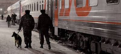 Транспортные полицейские в Карелии сняли с поезда пьяного мурманчанина, мешавшего пассажирам