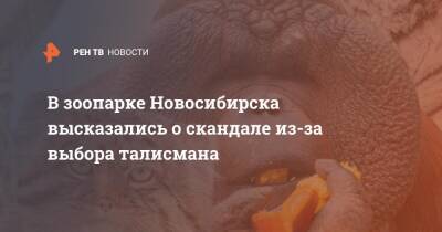 В зоопарке Новосибирска высказались о скандале из-за выбора талисмана