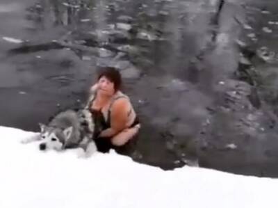 В Воронежской области женщина прыгнула в ледяную воду, чтобы спасти хаски