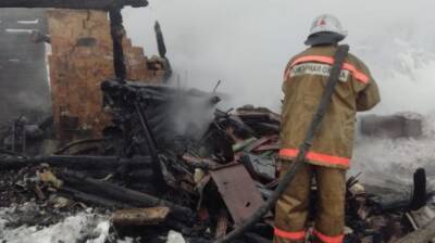 В Нижнеломовском районе при пожаре погиб пенсионер