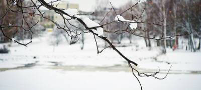 Потепление и снег придут 8 февраля в Карелию