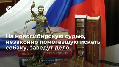 На новосибирскую судью, которая незаконно помогла искать коллеге собаку, заведут дело