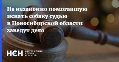 На незаконно помогавшую искать собаку судью в Новосибирской области заведут дело