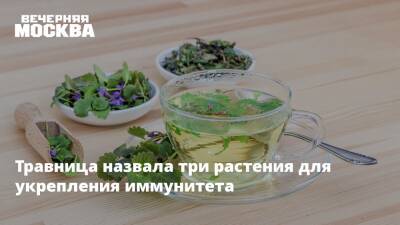 Травница назвала три растения для укрепления иммунитета - vm.ru