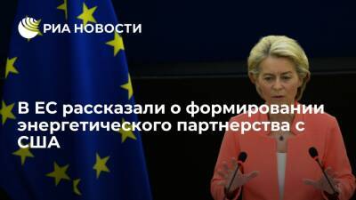 Глава ЕК фон дер Ляйен: ЕС строит с США энергетическое партнерство для поставок СПГ в союз