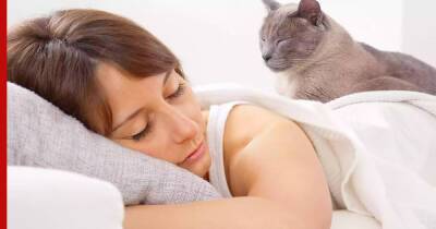 Невозможно встать: 5 причин, из-за которых кошки спят рядом с хозяевами