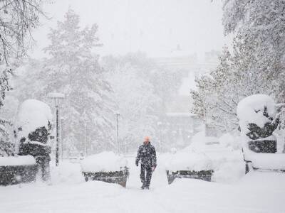 Синоптики назвали причину аномальных снегопадов этой зимой в России