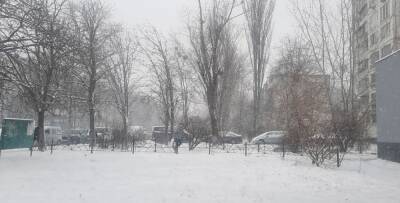 Мокрые снегопады, дожди и +7 на градуснике: синоптик Диденко предупредила о бурном соперничестве циклонов во вторник