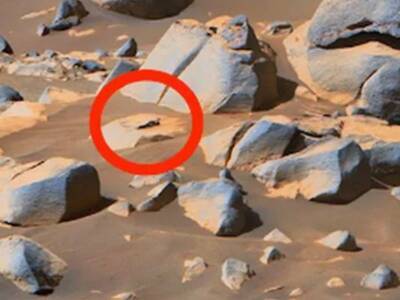 «Зеленый человечек» оказался розовым: уфолог нашел на Марсе 30-сантиметрового инопланетянина