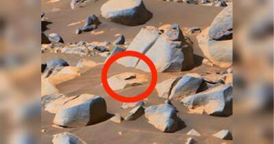 На Марсі помітили «інопланетянина» у розслабленій позі Кейт Вінслет із «Титаніка»