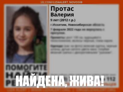 В Новосибирской области прекратили поиски 9-летней девочки