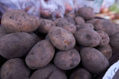Власти России нашли способ снизить цены на овощи "борщевого набора"