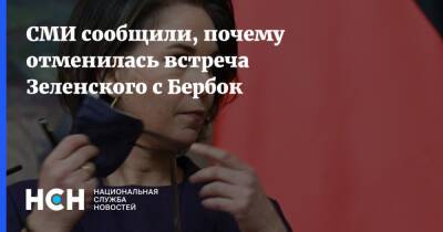 СМИ сообщили, почему отменилась встреча Зеленского с Бербок
