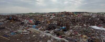 В Омске в отношении мусорного регоператора возбудили административное дело