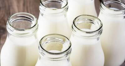 Производство молока в стране растет — Минсельхозпрод